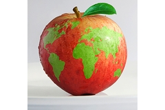 Image Image